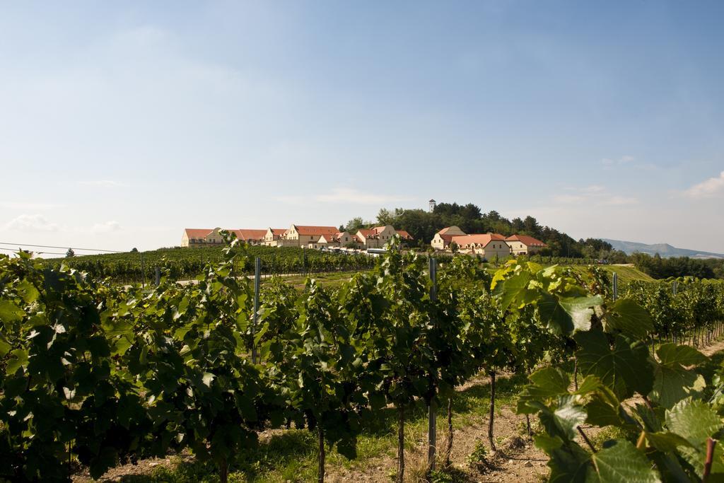 Vinarstvi U Kaplicky Zajeci Exterior photo
