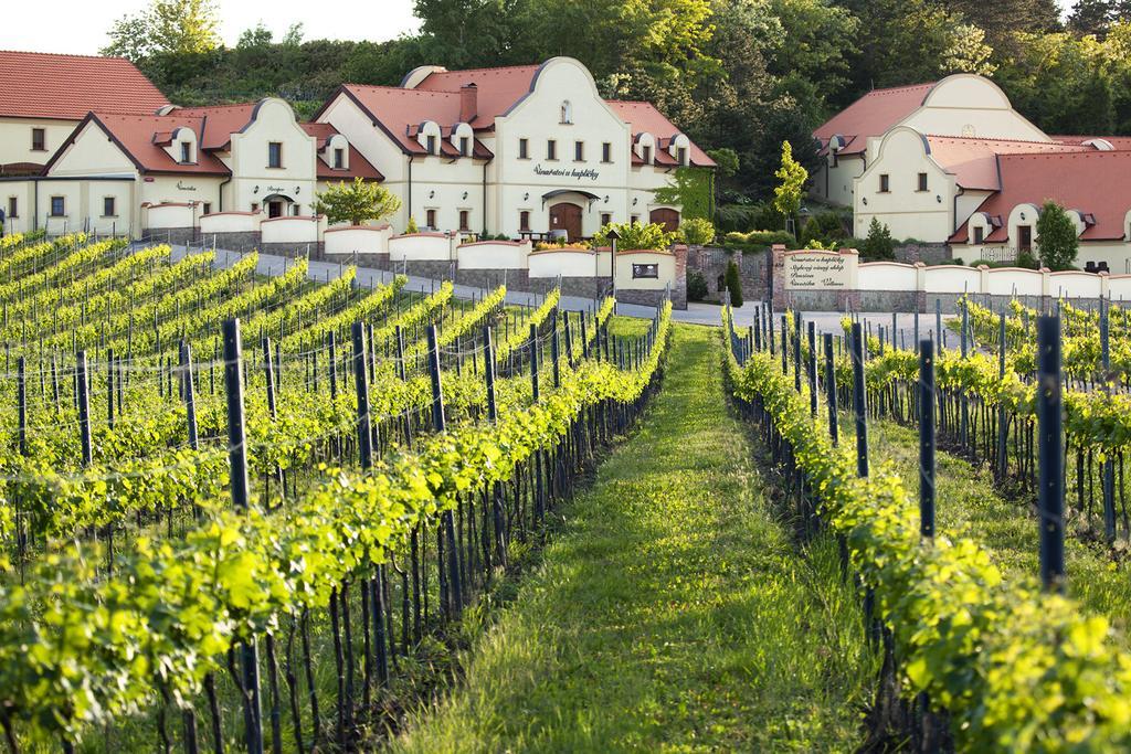 Vinarstvi U Kaplicky Zajeci Exterior photo